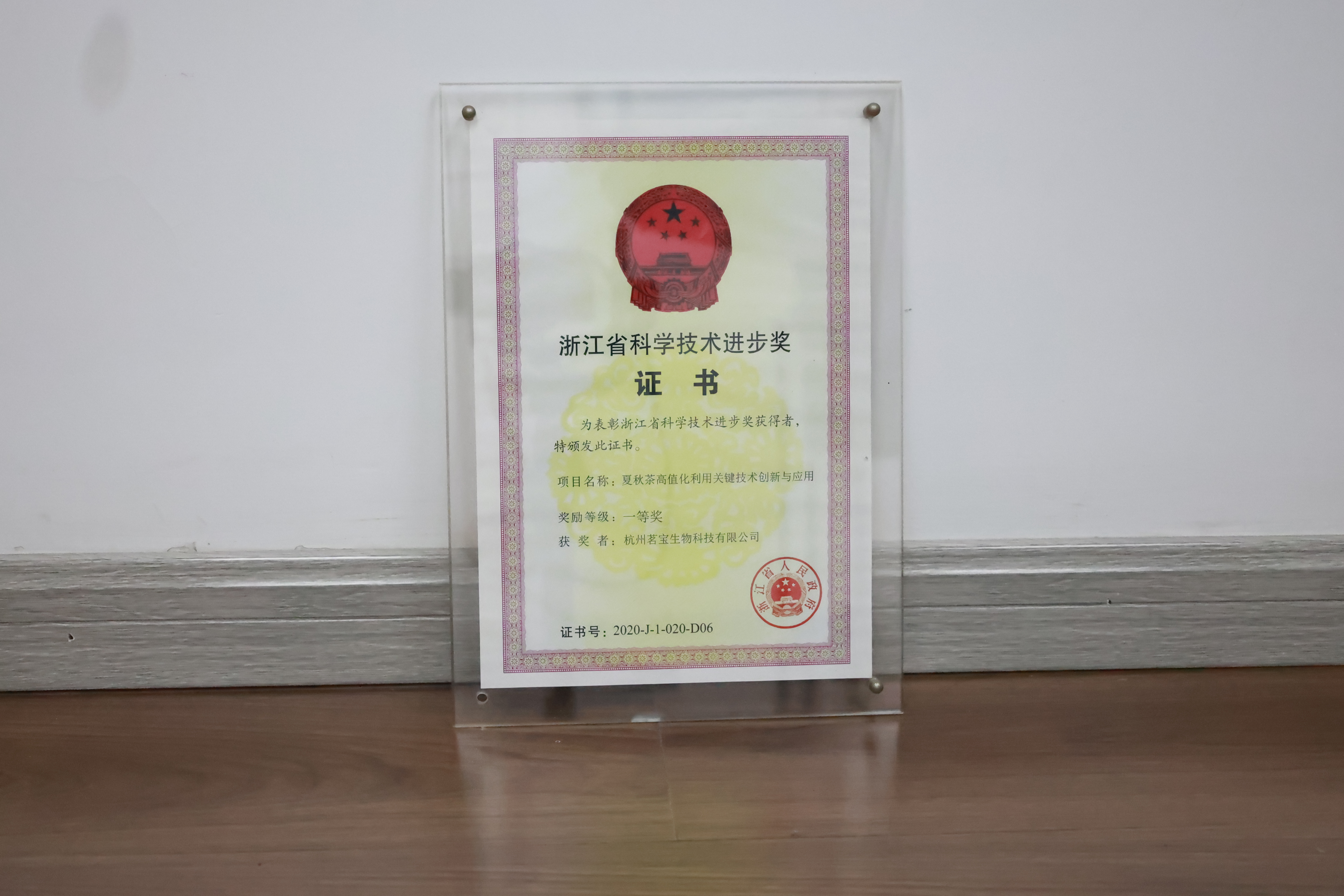 浙江省科学技术进步奖 一等奖高清实拍原件