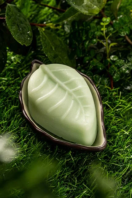Tea Cosmetics