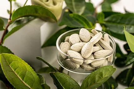 Tea Lozenges